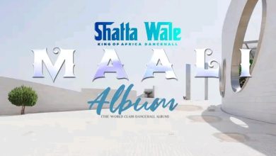 Shatta Wale – Did My Time