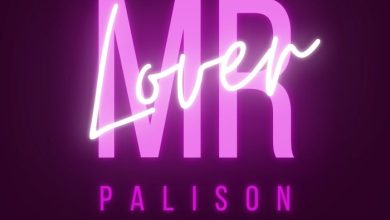 Palison – Mr Lover