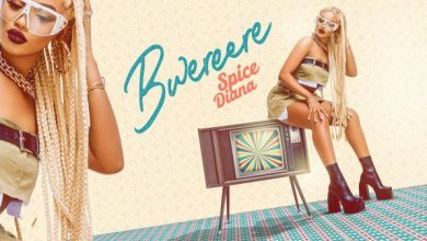 Spice Diana – Bwereere