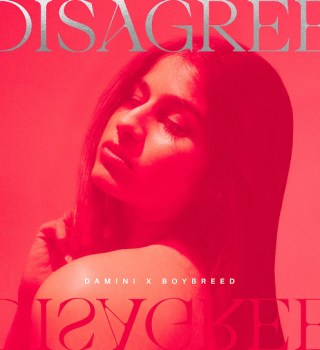 Damini – Disagree ft Boybreed