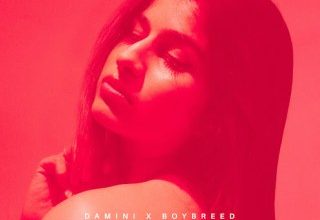 Damini – Disagree ft Boybreed