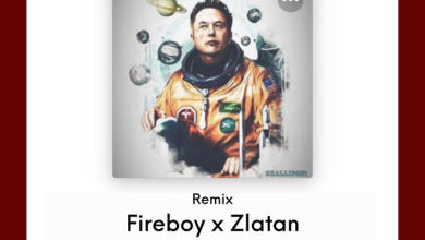 Shallipopi – Elon Musk (Remix) ft. Fireboy DML & Zlatan