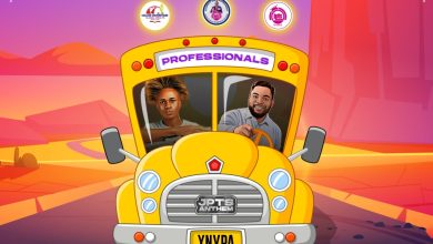 Xnypa – Professionals